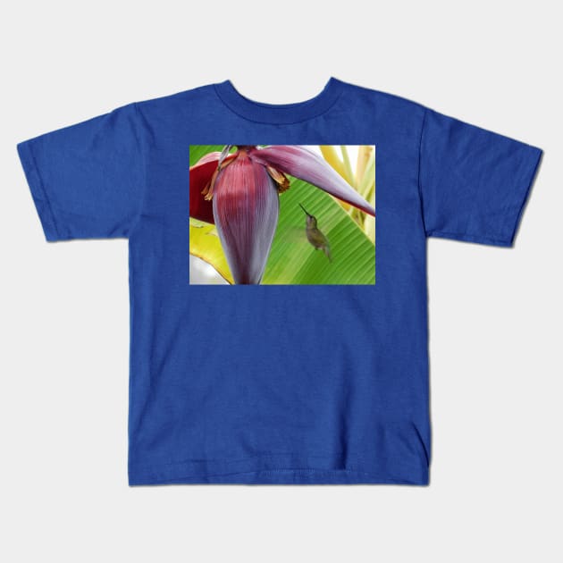 Hovering hummingbird Kids T-Shirt by FriendlyComputerHelp